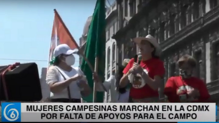 Mujeres campesinas marchan en la CDMX por falta de apoyos para el campo