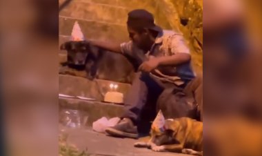 Hombre en situación de calle celebra cumpleaños de perritos