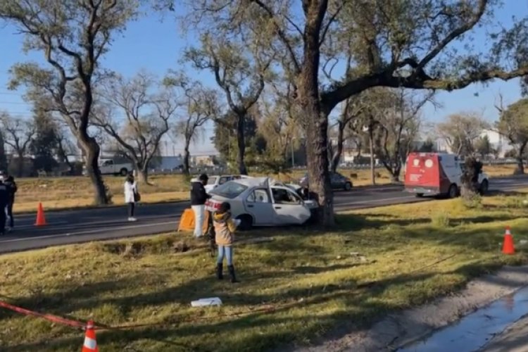 Toluca: Conductor muere tras chocar con árbol