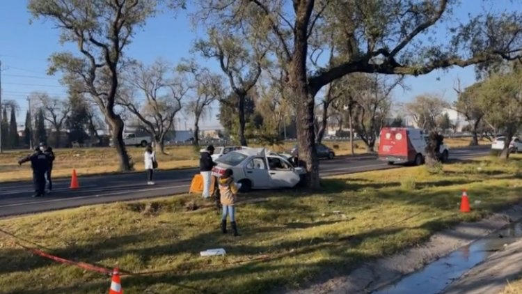 Toluca: Conductor muere tras chocar con árbol