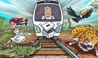 AMLO va contra la ley para construir Tren Maya