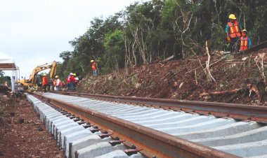 Tren Maya devastación ambiental y pobreza