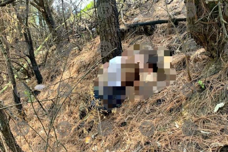 Tiran cadáver en las inmediaciones de la autopista México-Puebla