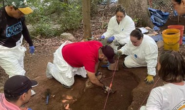 Suman 14 cuerpos encontrados en fosas clandestinas de Michoacán