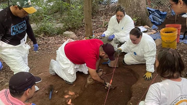 Suman 14 cuerpos encontrados en fosas clandestinas de Michoacán