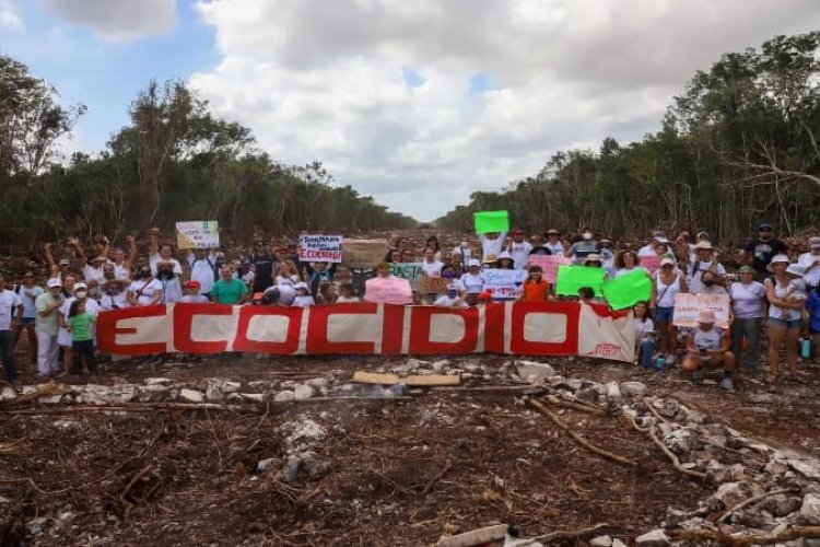 Greenpeace amplia su demanda para detener construcción del Tren Maya