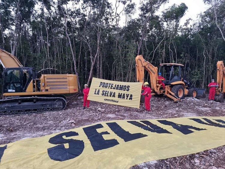 Otorgan segunda suspensión definitiva contra obras en tramo 5 del Tren Maya 
