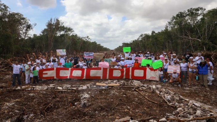 Greenpeace amplia su demanda para detener construcción del Tren Maya
