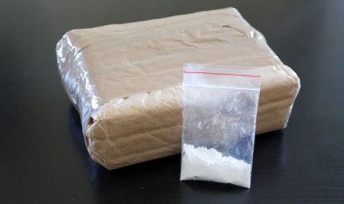 México incauta más cocaína que EU: Ebrard