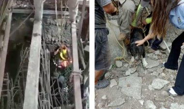 Rescatan a perro que cayó a un pozo de 20 metros en Chiapas