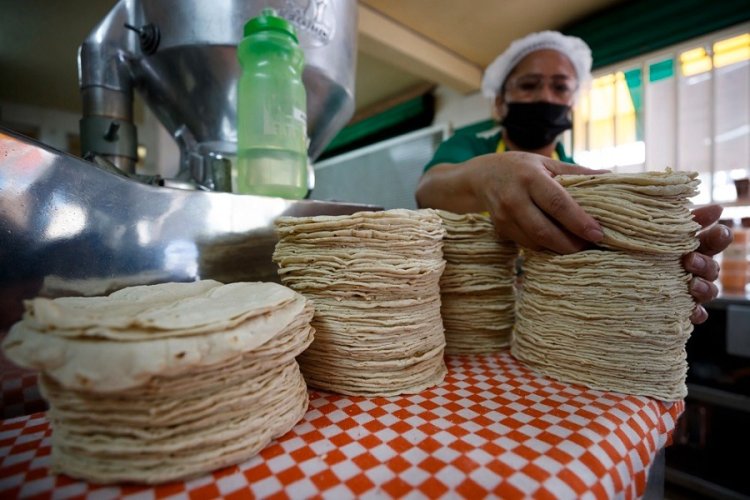 Inflación podría aumentar kilo de tortilla a 30 pesos