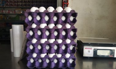 Sufren locatarios el aumento de precio del huevo y pollo en Querétaro