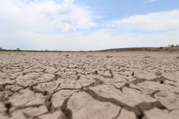 En Michoacán, 106 municipios presentan sequía de moderada a extrema