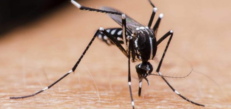 Aumentan casos de dengue en Yucatán