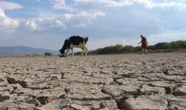 Afecta sequía moderada a 25 municipios potosinos
