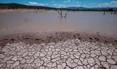 Dieciséis municipios de San Luis Potosí en sequía severa, reporta PC