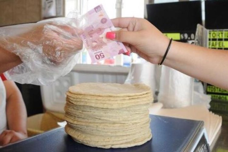 Aumentará costo de la tortilla a 25 pesos en SLP