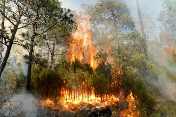 Incendios forestales afectan diversos municipios del Edomex