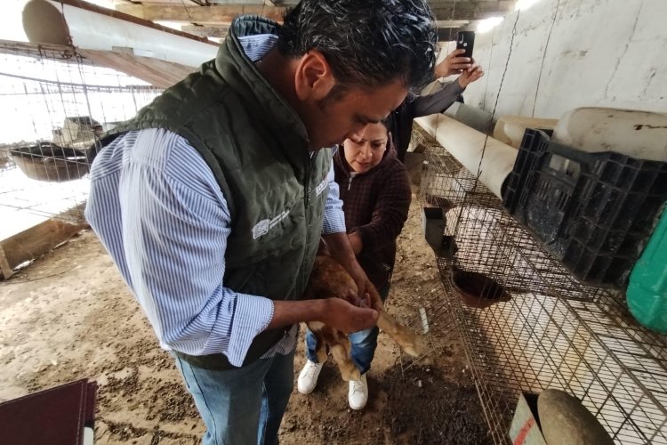 Inicia campaña sanitaria de ganado en comunidades de Tenancingo