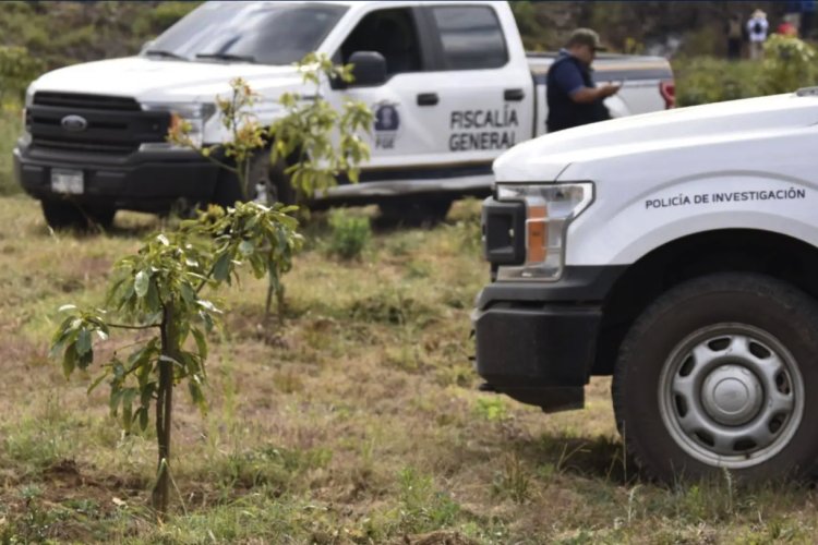 Hallan diez cadáveres en fosas de Michoacán