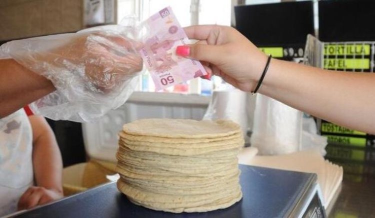 Aumentará costo de la tortilla a 25 pesos en SLP