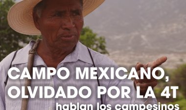 A Fondo: Campo mexicano olvidado por la 4T