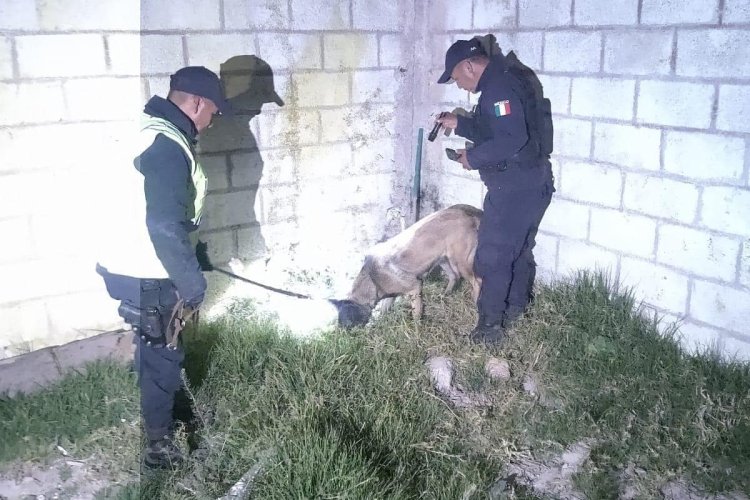 Hallan cuerpo de una mujer en estado de descomposición en el fondo de un pozo en Zinacantepec