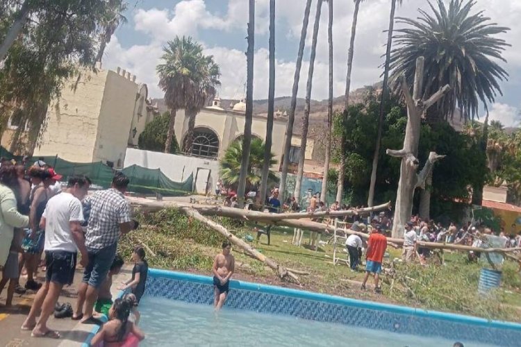 Muere bebé aplastado por árbol en balneario de Guanajuato