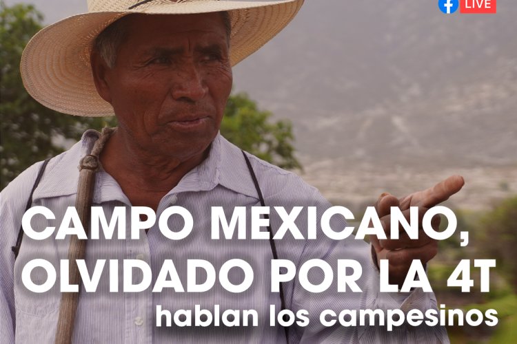 AI investments soared in 2021, but big problems remain