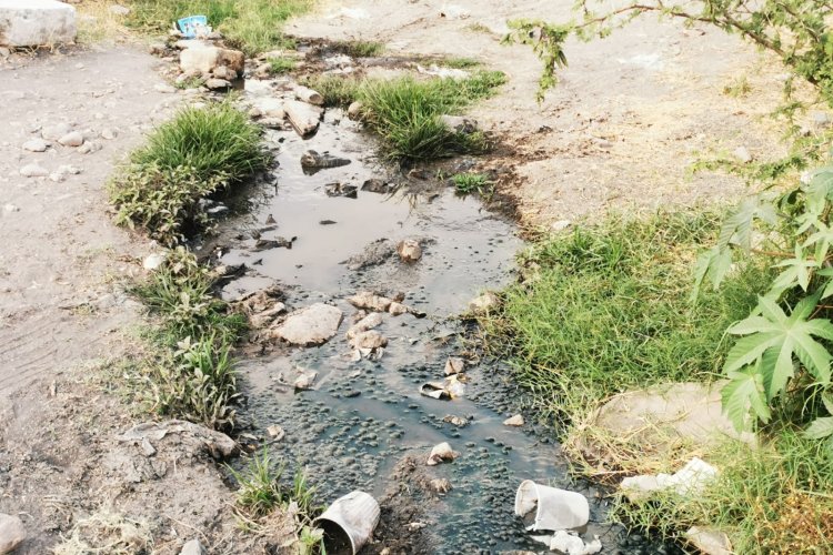Autoridades  de Corregidora no cumplen con programa de mejoramiento al medio ambiente.