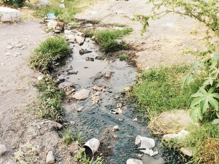 Autoridades  de Corregidora no cumplen con programa de mejoramiento al medio ambiente.
