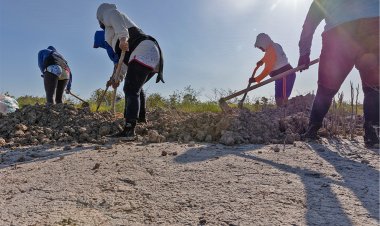 De Yucatán para el mundo; reconocen labor ambiental de mujeres de Chelem