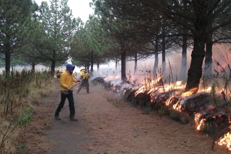 Luego de 48 horas de trabajo, sofocan incendio en Parque Nacional Izta-Popo