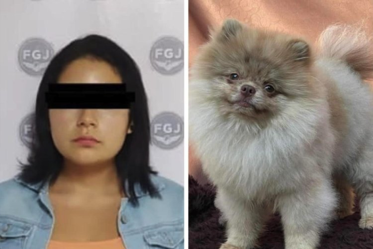 Detienen a mujer por robar perrito en Nezahualcóyotl, Estado de México
