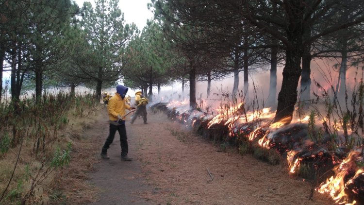 Luego de 48 horas de trabajo, sofocan incendio en Parque Nacional Izta-Popo