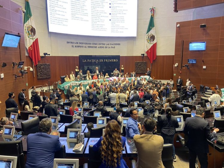Acusan a morenista de hacer ‘trampa’ para aprobar reformas de Obrador en el Senado