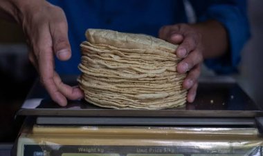 Tortilla alcanza 53 por ciento de incremento en Guanajuato