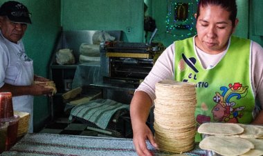 Tortillerías en riesgo en Guanajuato