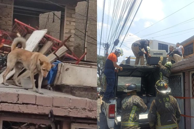 Rescatan a perrito de casa que iba a colapsar en Iztapalapa, CDMX