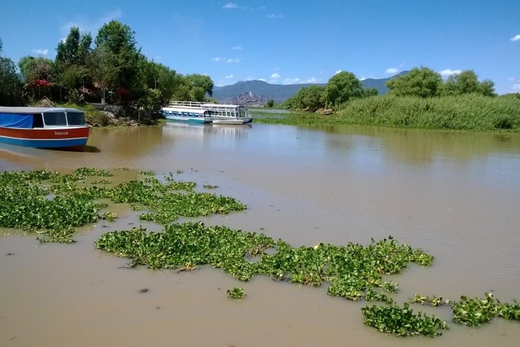 Agoniza el lago de Pátzcuaro