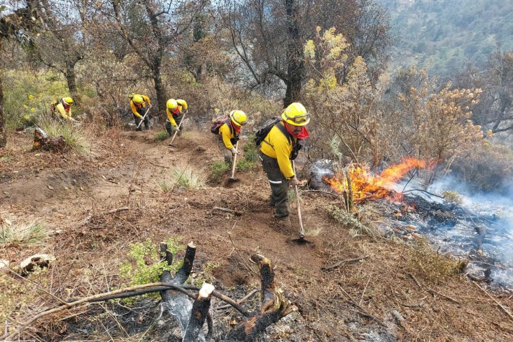 16 incendios forestales durante ola de calor en Veracruz