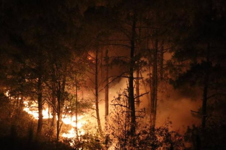 Arrecia incendio forestal en Zacatlán: consume 30 hectáreas y una vida humana