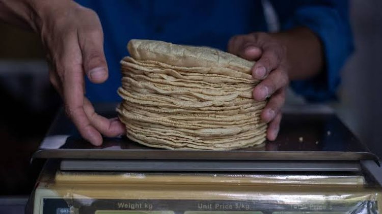 Tortilla alcanza 53 por ciento de incremento en Guanajuato