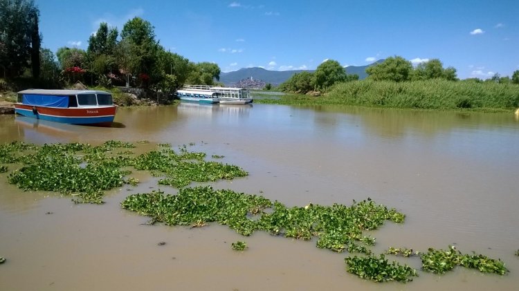 Agoniza el lago de Pátzcuaro
