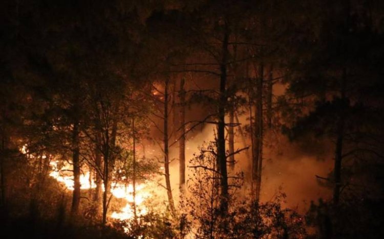 Arrecia incendio forestal en Zacatlán: consume 30 hectáreas y una vida humana