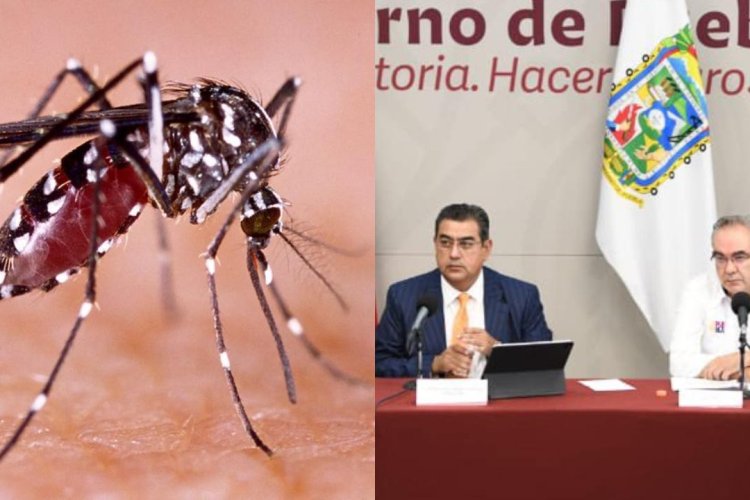 Salud confirma primer muerte por dengue en Puebla