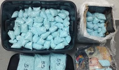 500 mil pastillas de fentanilo son decomisadas en Sinaloa