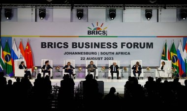 Opinión: XV cumbre: ¿Para qué sirve el BRICS?