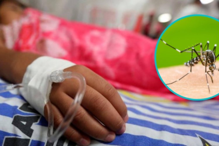 Alarma por incremento de casos de Dengue en la península