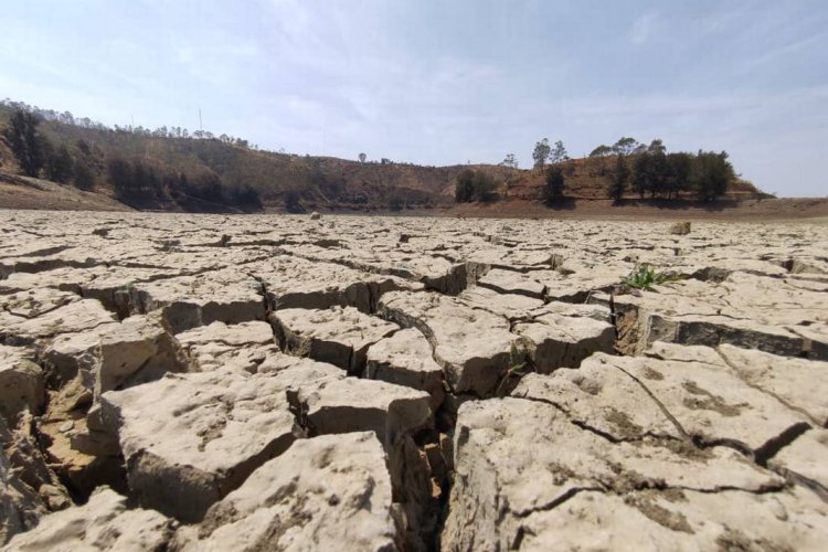 La sequía afecta la producción agrícola en Salamanca